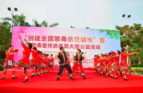 數(shù)字賦能禁毒宣傳 創(chuàng)意軟件開發(fā)助力新埠街道爭創(chuàng)全國禁毒示范城市